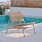 Lounge Chair